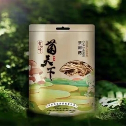 茶樹(shù)菇